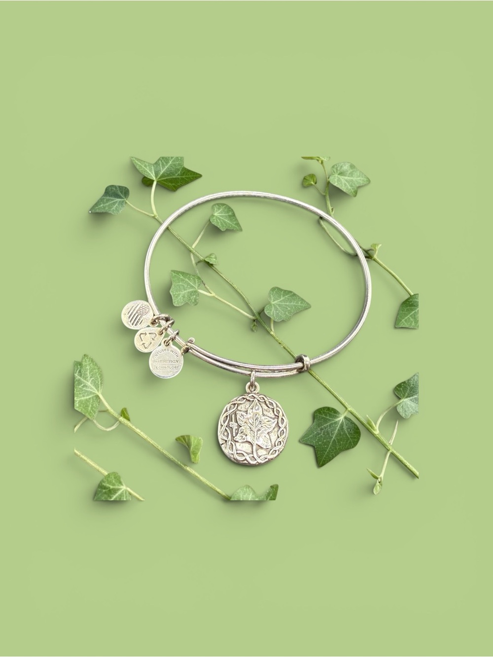 🏷️‼️5/$25🏷️‼️💚ALEX & ANI💚Ivy Charm Bangle in Rafaelian Silver/EUC